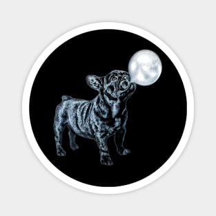 French bulldog, Frenchie 20 Magnet